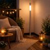 Minimalist Telescopic Floor Lamp 53''H, Modern Aluminum Floor Lights, 3 color temperature, for bedroom, livingroom, office